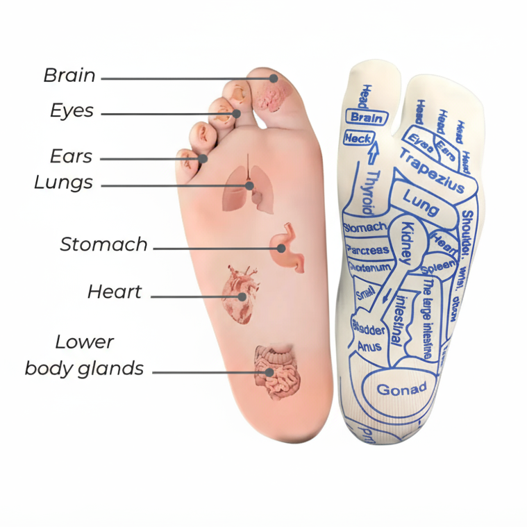 SoleMap™ Reflexology Socks