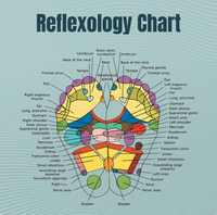 SoleMap™ Reflexology Socks